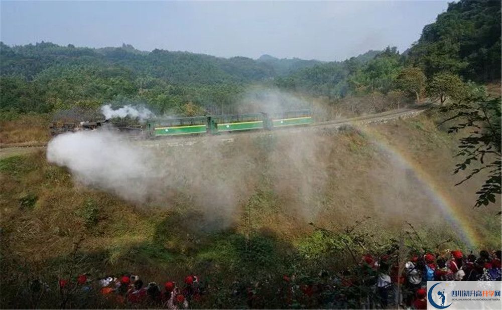 成都市泡桐樹中學(xué)國際班費(fèi)用是多少？