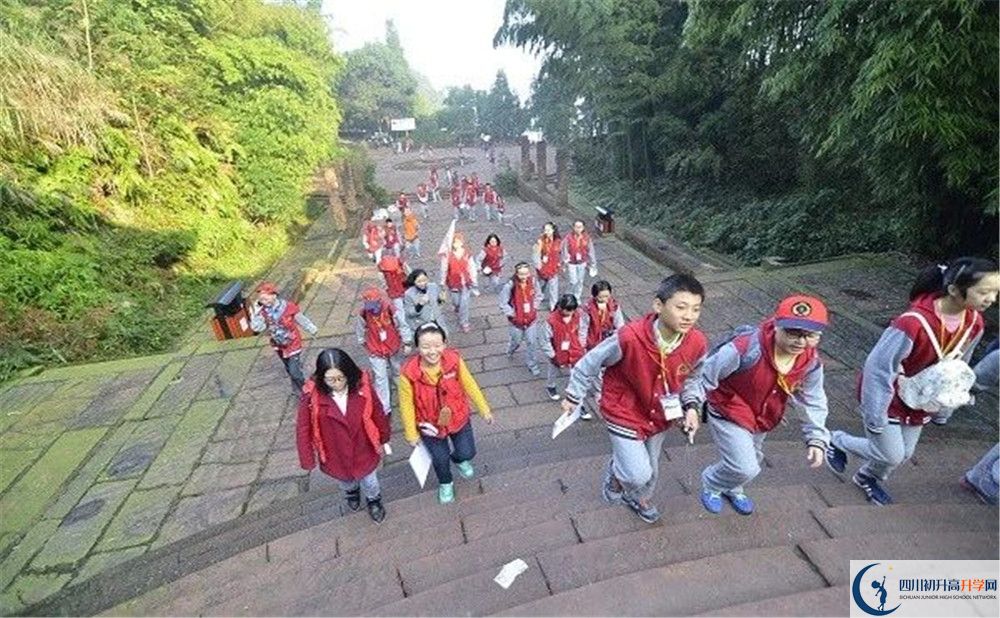 成都市泡桐樹中學(xué)和樹德中學(xué)誰好？