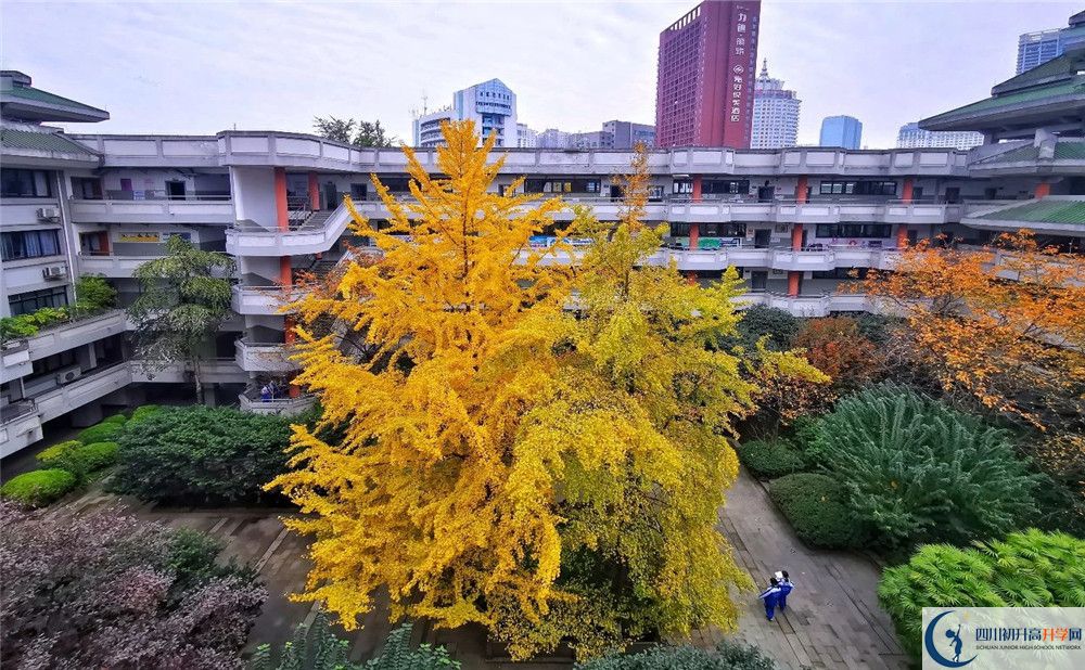 成都市泡桐樹中學(xué)2020年全國排名？