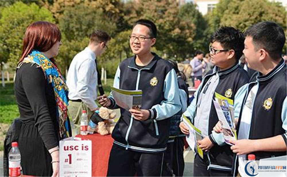成都美視國際學校是私立還是公立學校？