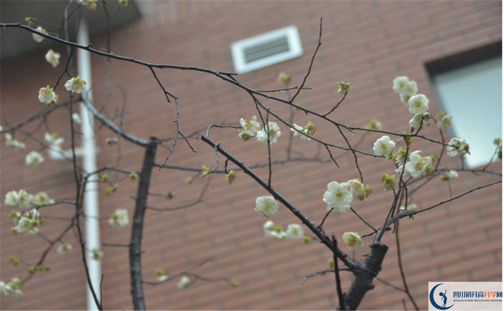 成都市華陽(yáng)中學(xué)是私立還是公立學(xué)校？