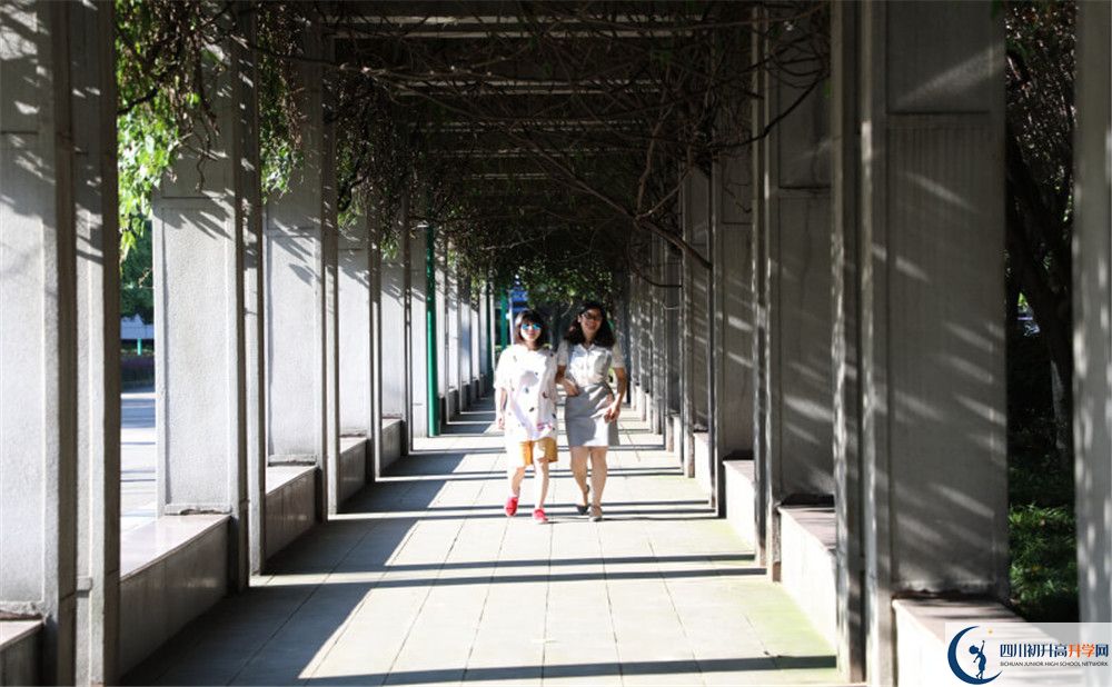 2020成都市龍泉中學實驗班高考成績如何？
