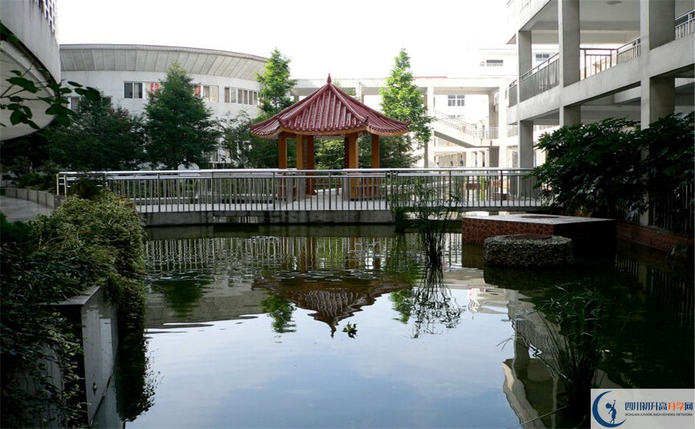2020成都市龍泉中學(xué)高考重點大學(xué)升學(xué)率是多少？