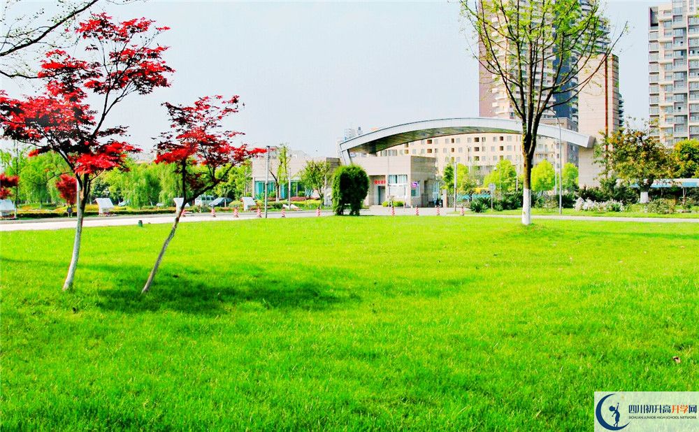 成都七中實驗學校2020屆高三期末試卷在哪里看？
