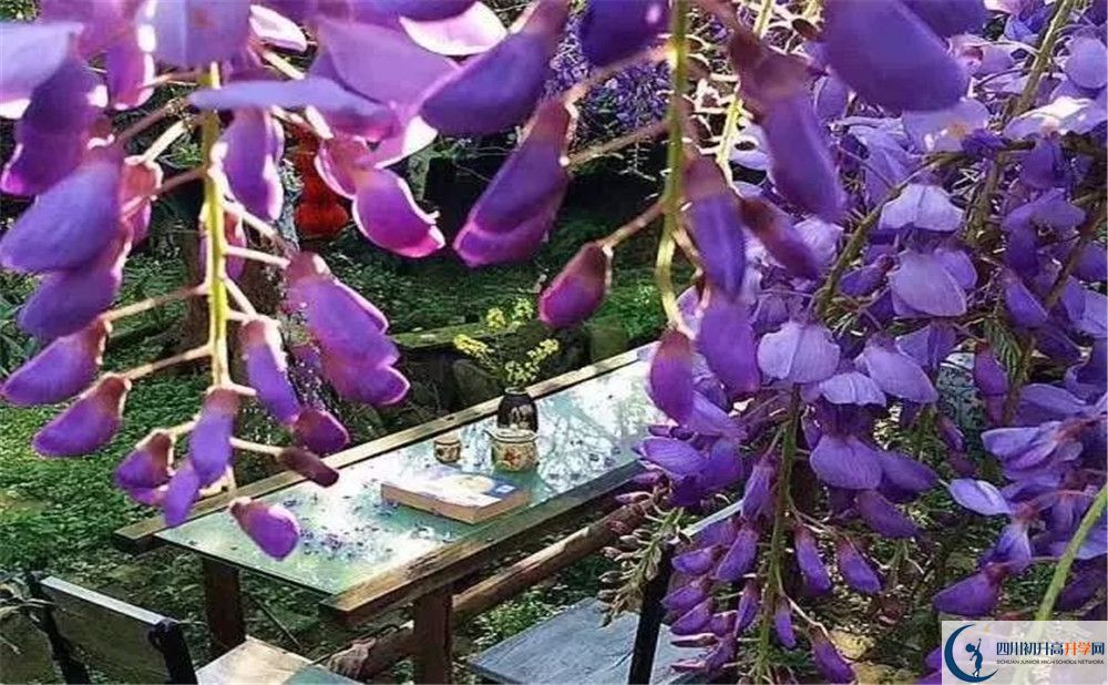 郫縣三中平行班與實(shí)驗(yàn)班差多少？