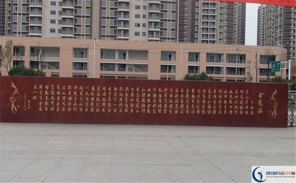 成都經(jīng)濟(jì)技術(shù)開發(fā)區(qū)實驗中學(xué)在全國高中排名是多少？