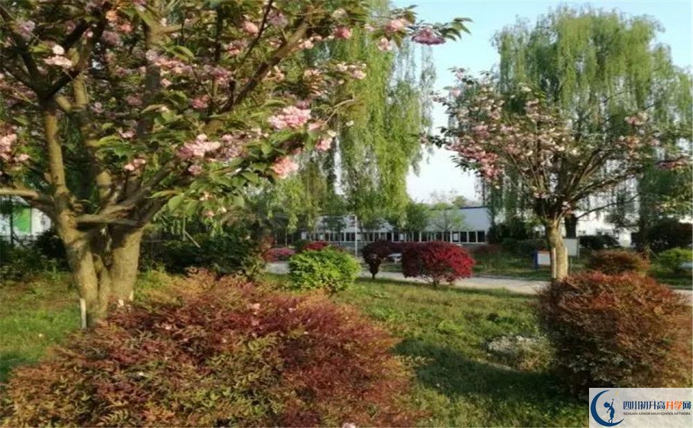 四川師范大學(xué)附屬第三實(shí)驗(yàn)中學(xué)實(shí)驗(yàn)班人數(shù)是多少？
