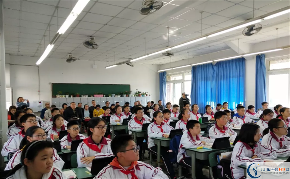 2020安仁中學(xué)期末試卷數(shù)學(xué)在哪兒看？