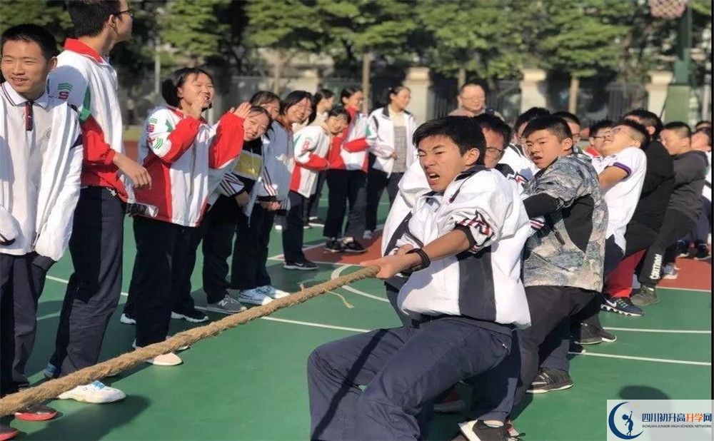 成都樹德中學(xué)面向全國(guó)招生嗎？