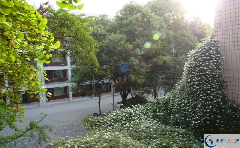 2020石室聯合中學蜀華分校二診數學試題答案在哪看？
