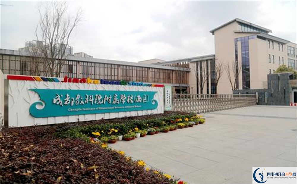 成都教科院附屬學(xué)校2020年高考人數(shù)是多少？