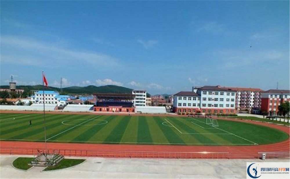 成都市華陽中學2020年高考人數(shù)是多少？