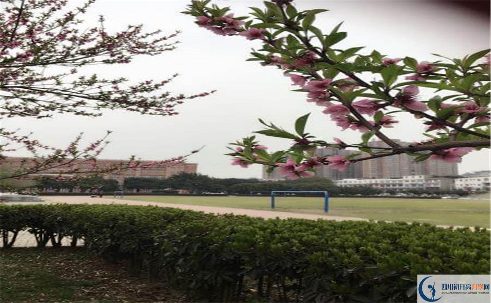 樹德博瑞實驗學校校園風采