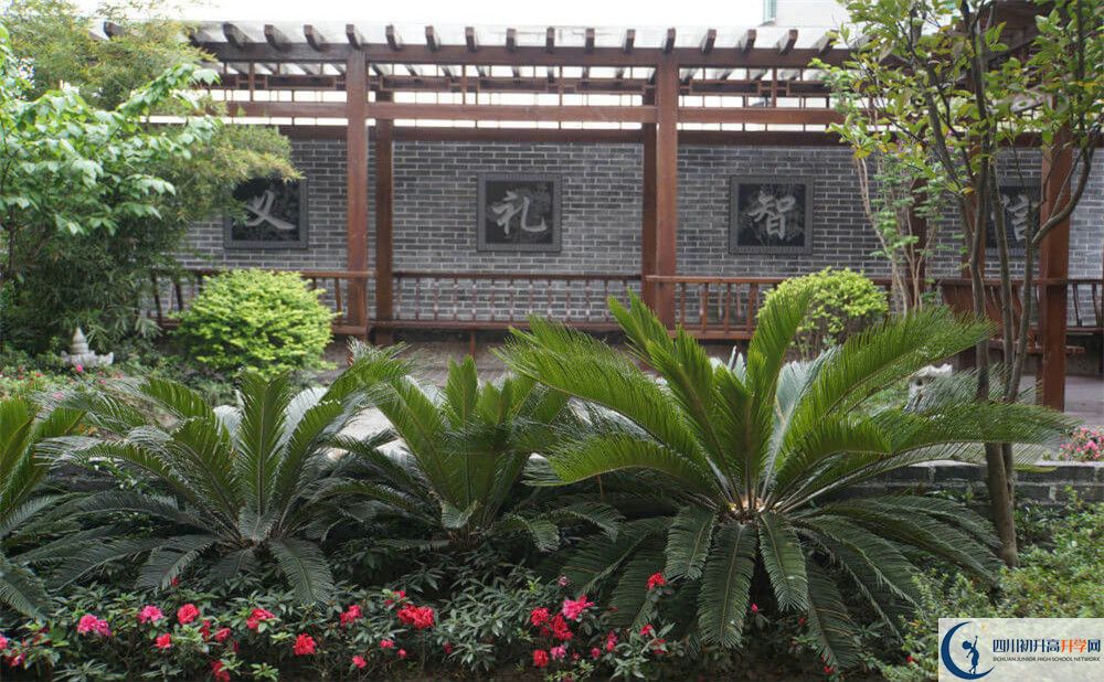 2020成都八中考自主招生條件是什么，有何變化？