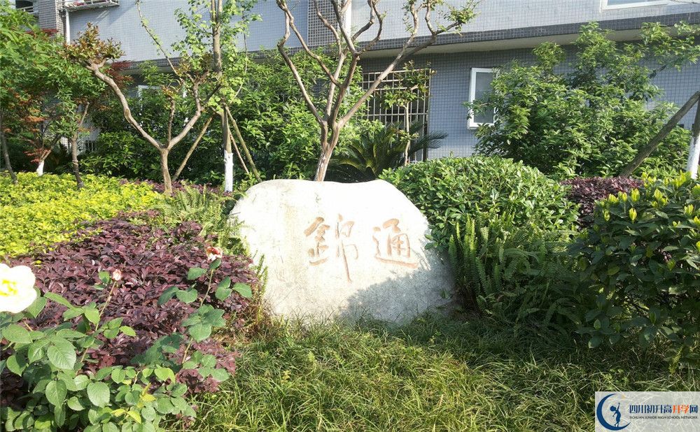 通錦中學(xué)2020年報(bào)名考試時(shí)間是否有調(diào)整？