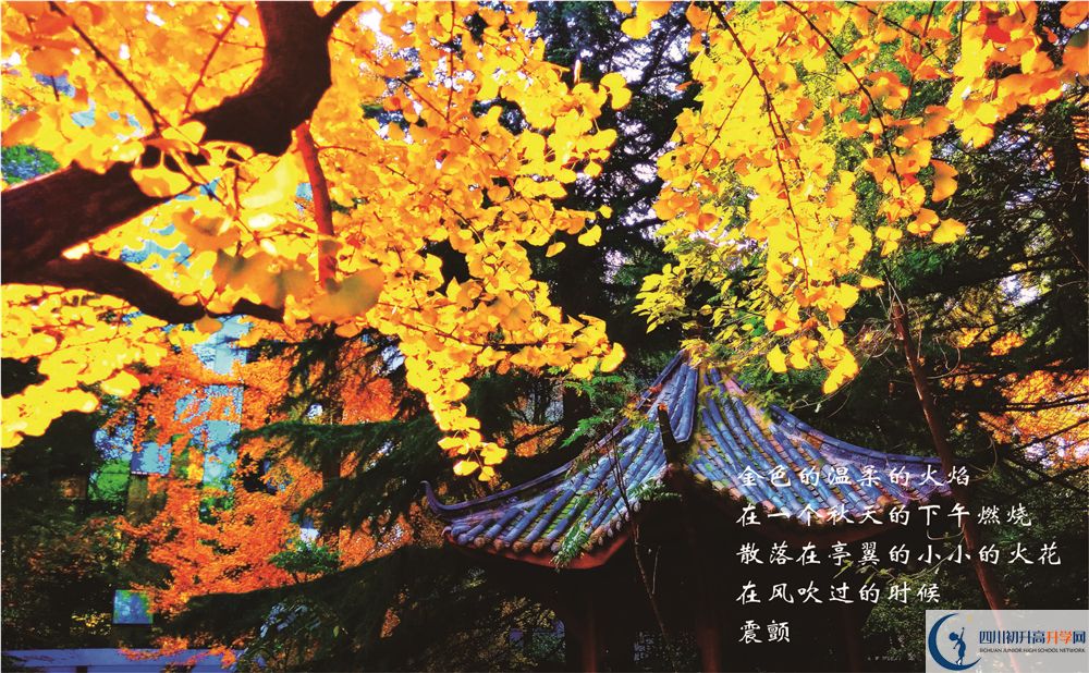 成都七中2020暑假放假時間安排？