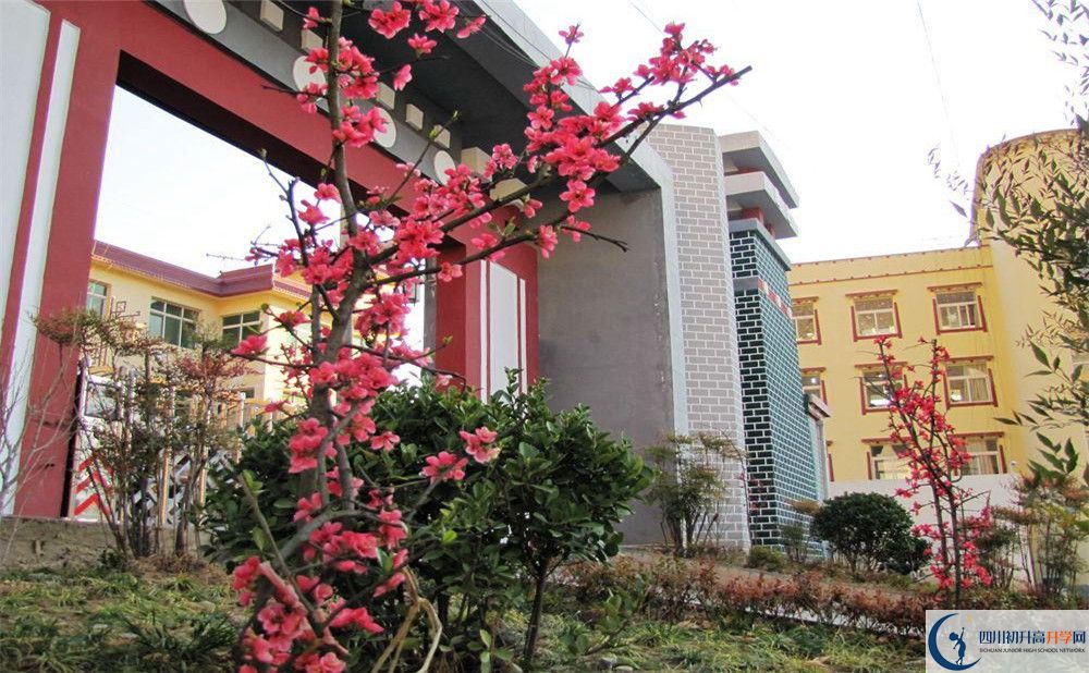 金川中學(xué)今年的錄取條件是否有變化？