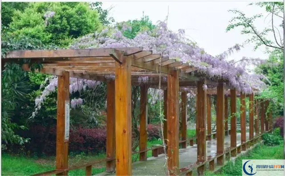 廣安花橋中學高三診斷考試時間怎么安排？