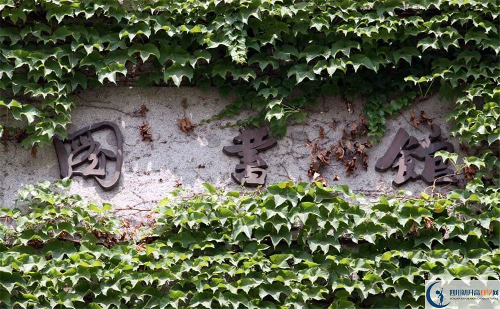 乘風(fēng)外國(guó)語(yǔ)實(shí)驗(yàn)中學(xué)今年的學(xué)費(fèi)怎么收取，是否有變化？