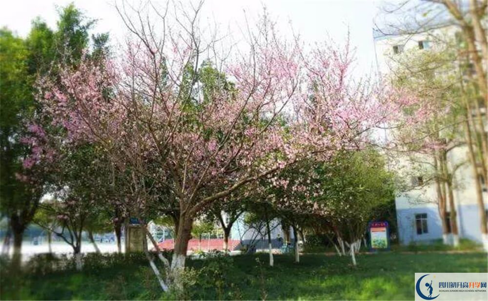 2020年遂寧中學(xué)外國(guó)語(yǔ)實(shí)驗(yàn)學(xué)校初升高考試時(shí)間是否有調(diào)整？