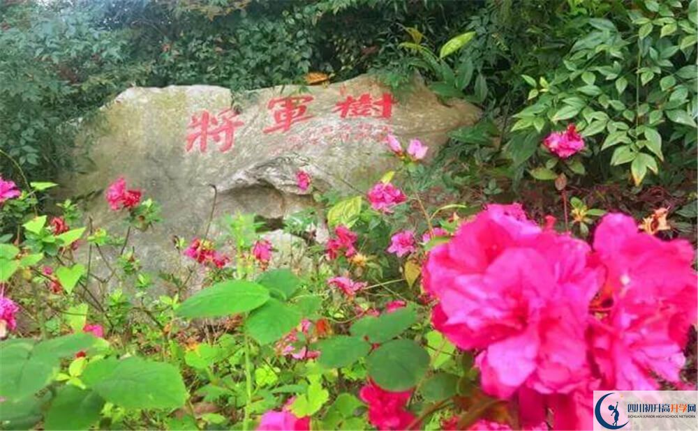 2020遂寧中學(xué)外國語實(shí)驗(yàn)學(xué)校初升高錄取線是否有調(diào)整？