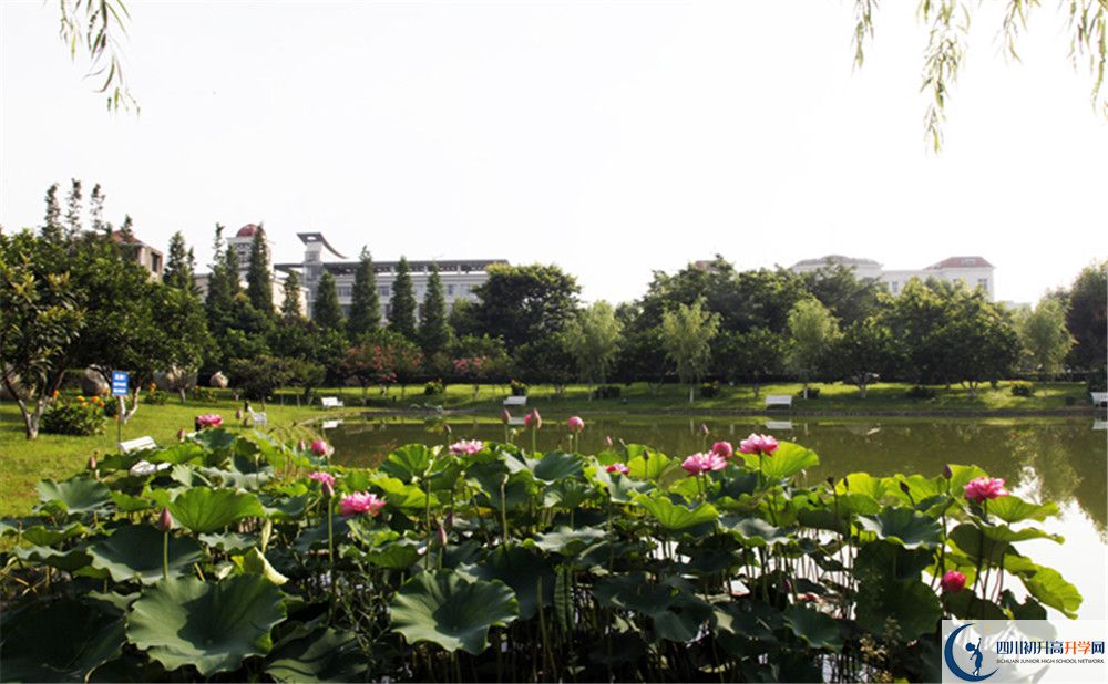 綿陽(yáng)南山中學(xué)實(shí)驗(yàn)學(xué)校2020年報(bào)名考試時(shí)間是否有調(diào)整？