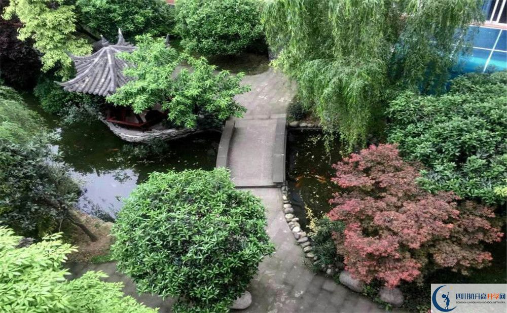 八中學(xué)校要多少分？
