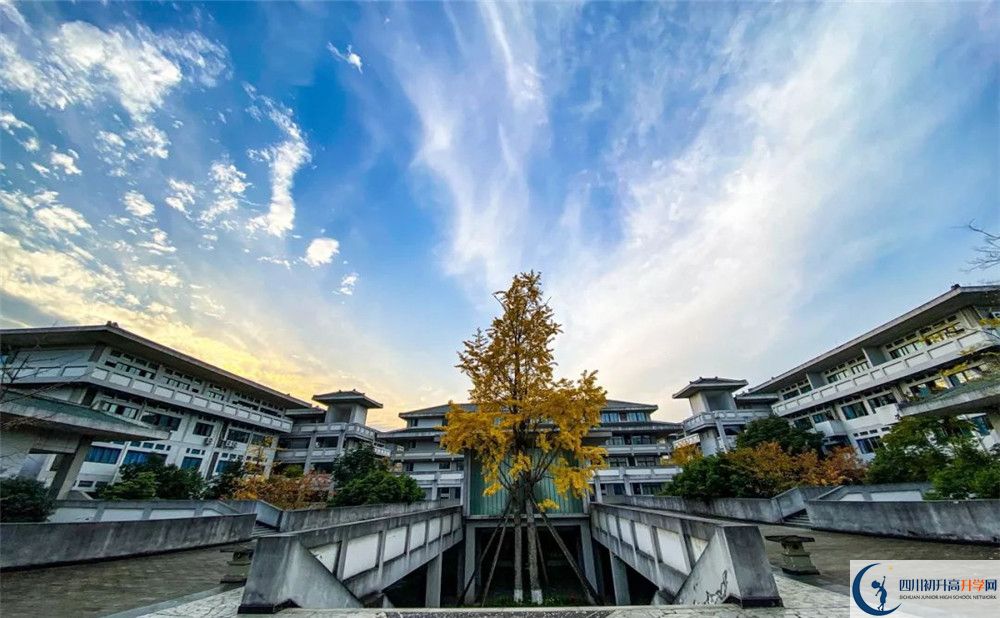 瀘州老窖天府中學(xué)高一分班嗎？