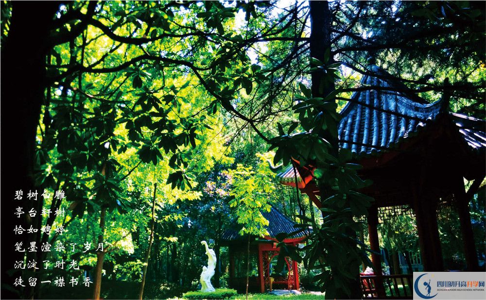 七中高新校區(qū)2020年招生條件是什么？