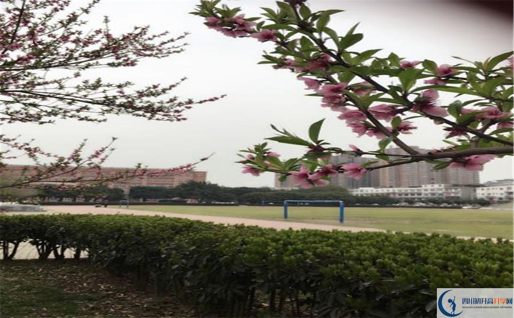 2020年樹德博瑞實驗學校怎么樣？