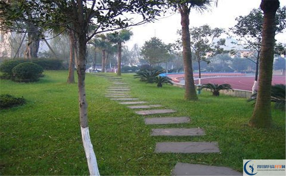 石室佳興外國(guó)語(yǔ)學(xué)校2020年是幾類？