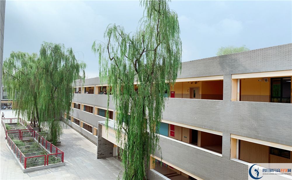 成都綿實(shí)外國語學(xué)校2020年高考成績怎么樣？
