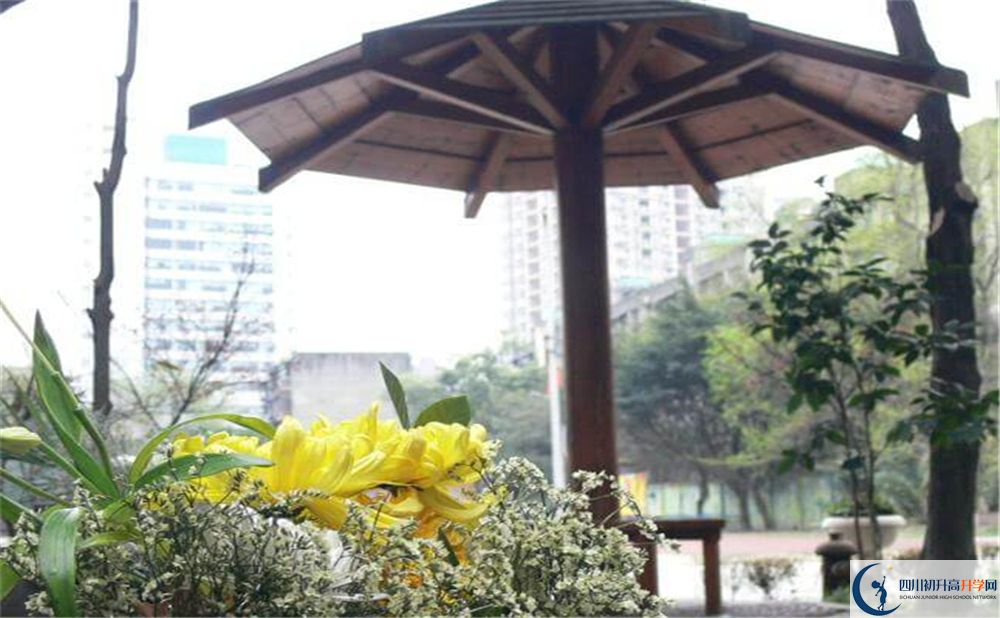 成都石室聯(lián)中蜀華分校2020年升學率高不高？