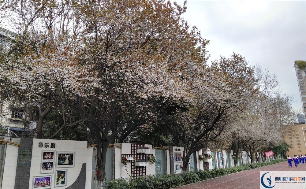 成都大學(xué)附屬中學(xué)2020年高考成績好不好？